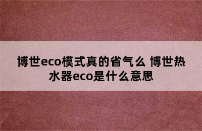 博世eco模式真的省气么 博世热水器eco是什么意思